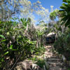 Jungle Bungalow Jungle Bungalow